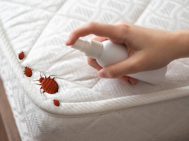 Best Mosquito Control Services  in Thousand Oaks, CA