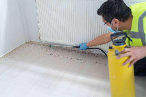 Best Ant Control Services  in Thousand Oaks, CA